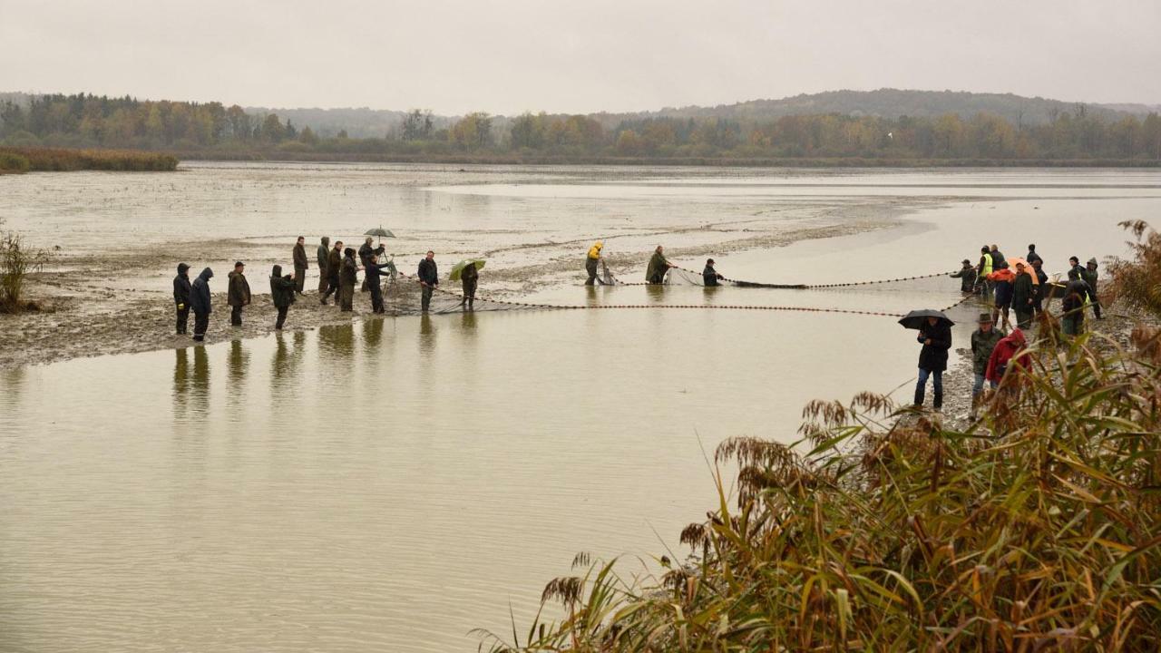 Gite De L'Etang Belval-en-Argonne Eksteriør bilde